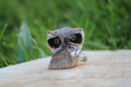 /products/klucenka-sova-rolnicka/