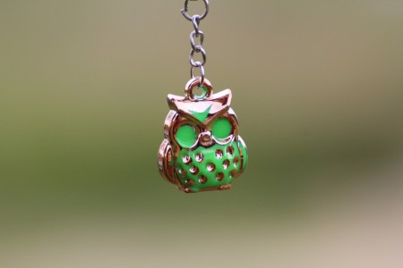 /products/klucenka-sova-ruza-6-farieb/